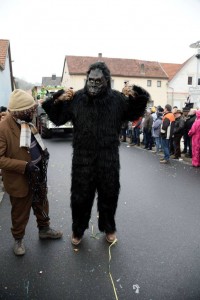 Faschingsumzug 2015 (C) Bernd Sachs
