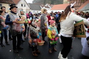Faschingsumzug 2015 (C) Bernd Sachs