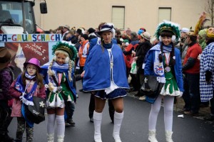 Faschingsumzug 2015 (C) Bernd Sachs