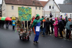 Faschingsumzug 2015 (C) Bernd Sachs