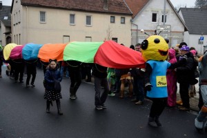 Faschingsumzug 2015 (C) Bernd Sachs