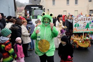Faschingsumzug 2015 (C) Bernd Sachs