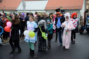 Faschingsumzug 2015 (C) Bernd Sachs