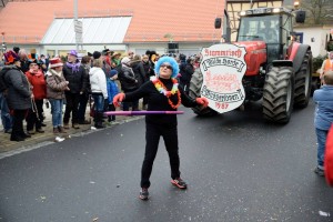 Faschingsumzug 2015 (C) Bernd Sachs