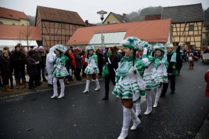 Faschingsumzug 2015 (C) Bernd Sachs