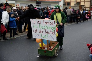 Faschingsumzug 2015 (C) Bernd Sachs