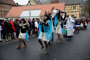 Faschingsumzug 2015 (C) Bernd Sachs