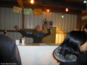 P1050357_240_100_2000